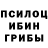 Псилоцибиновые грибы MAGIC MUSHROOMS Mr. DenBem