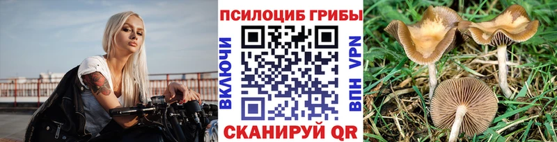закладки  Гремячинск  Галлюциногенные грибы GOLDEN TEACHER 